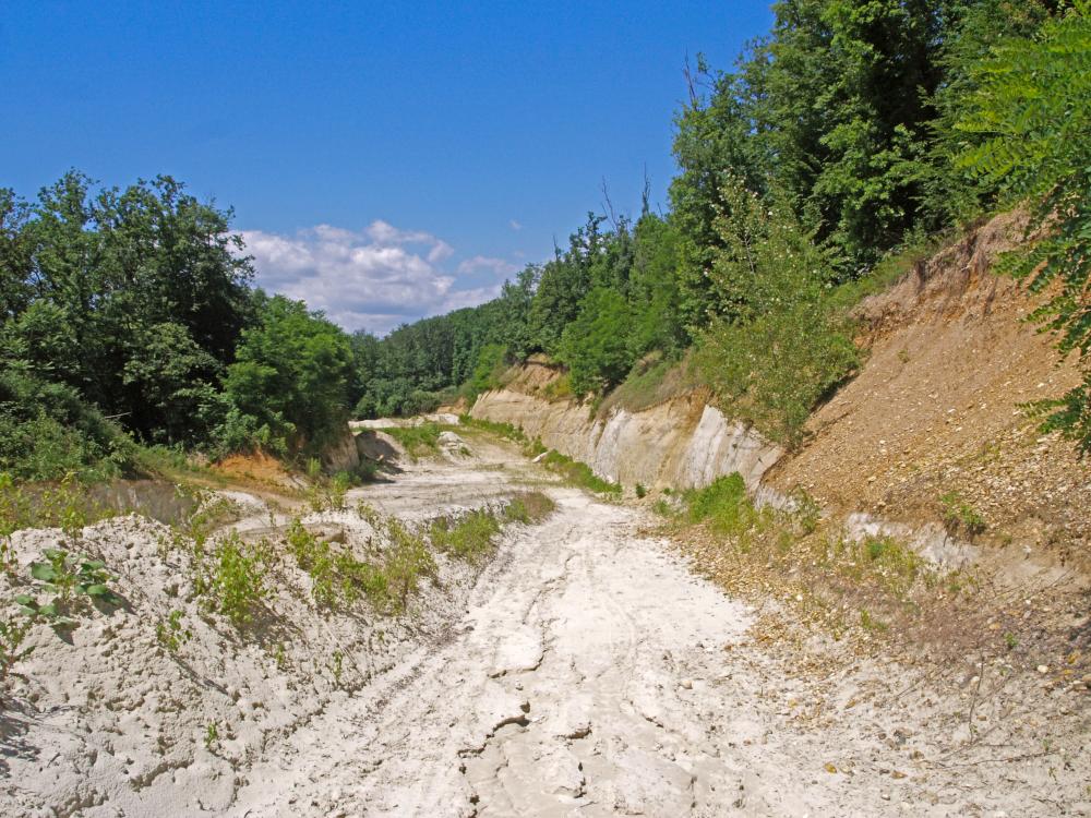 Sierninger Berg, Wachberg (279 Bildaufrufe)