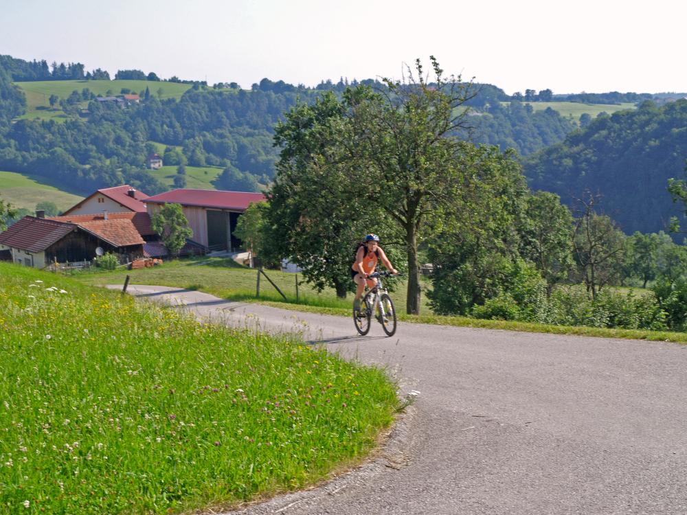 Reitberg (209 Bildaufrufe)