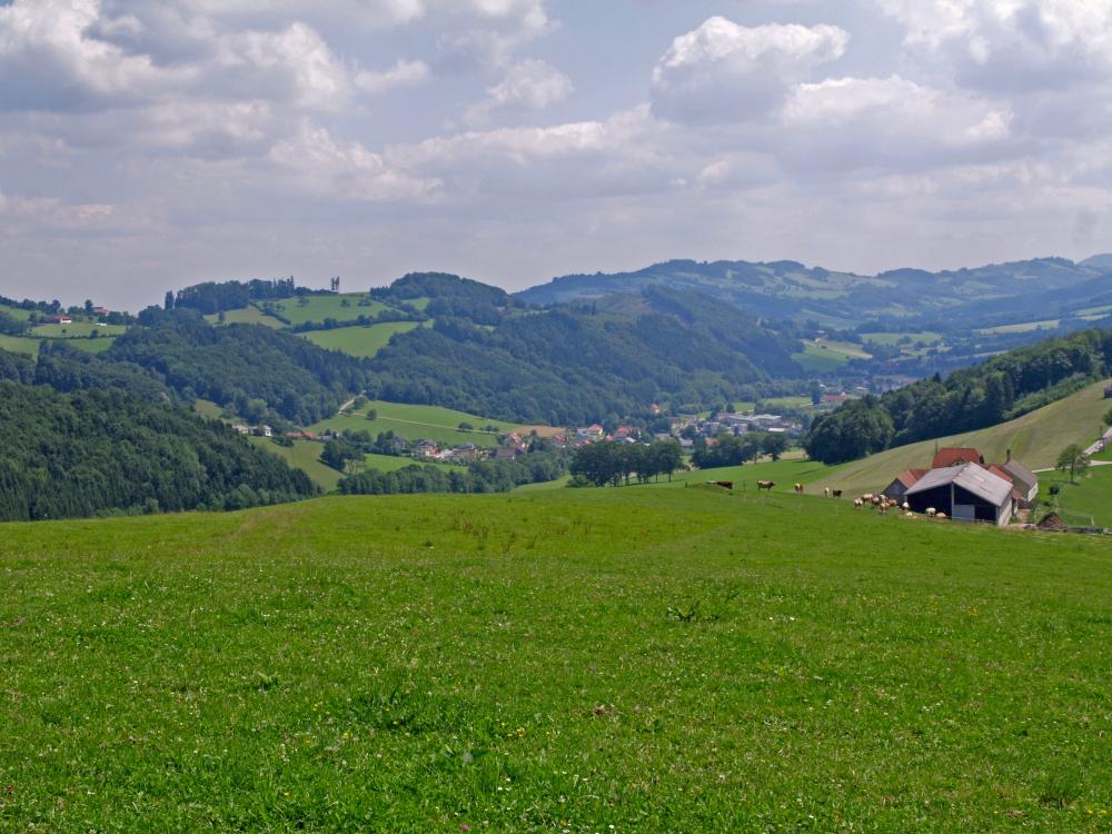 Reitberg (169 Bildaufrufe)