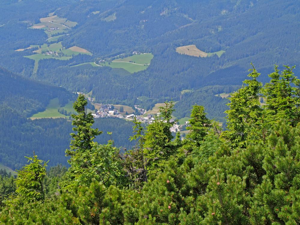 Gr.Ötscher (324 Bildaufrufe)