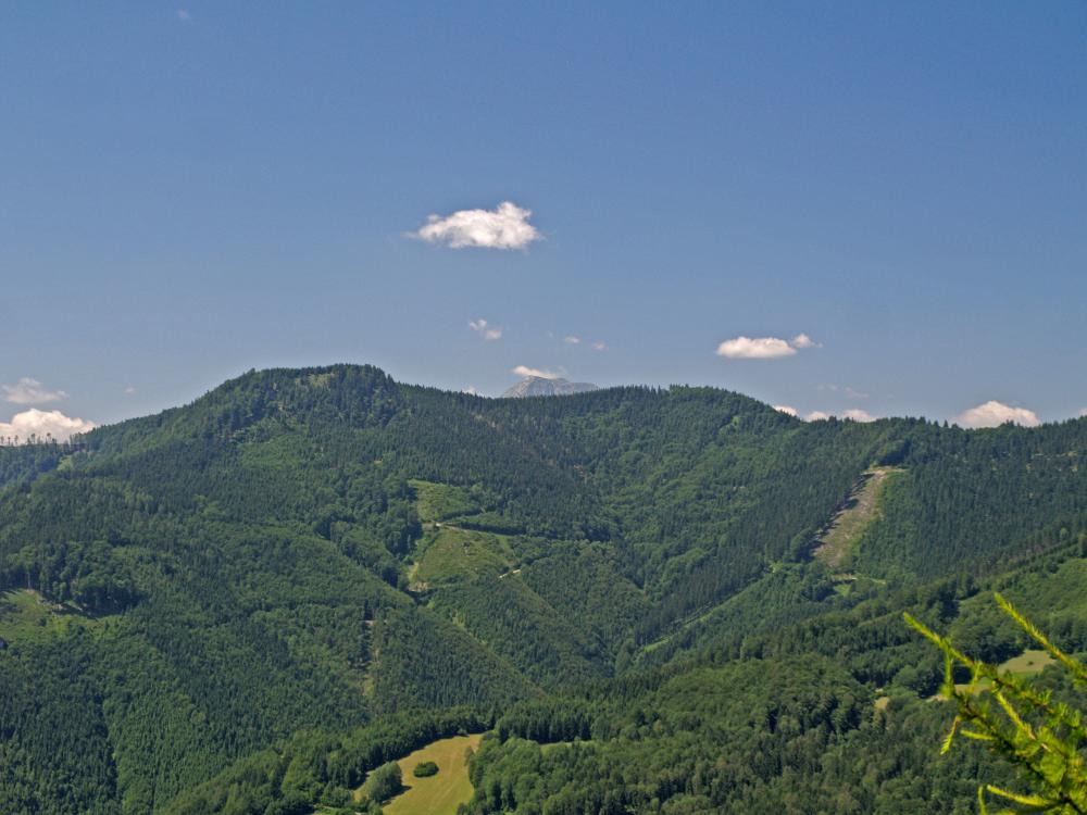 Spitzkogel (326 Bildaufrufe)