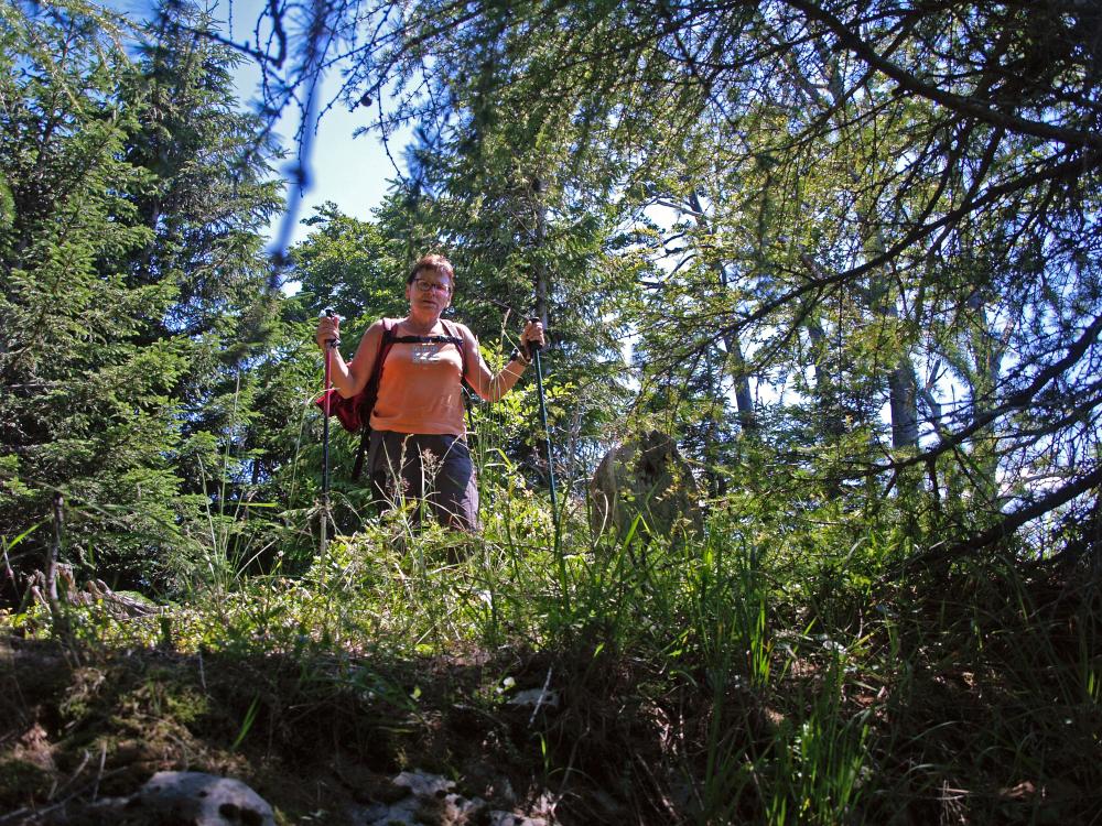 Spitzkogel (211 Bildaufrufe)