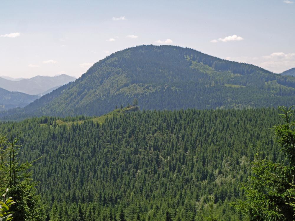 Spitzkogel (217 Bildaufrufe)