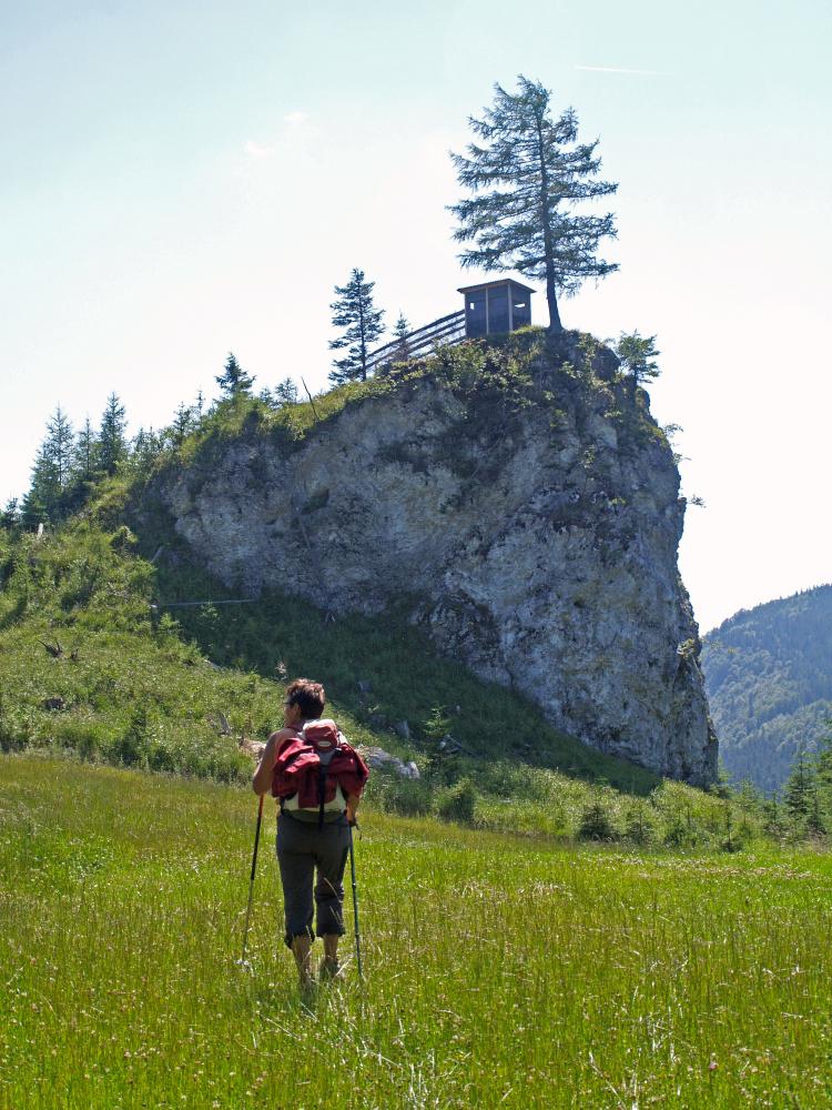 Spitzkogel (253 Bildaufrufe)