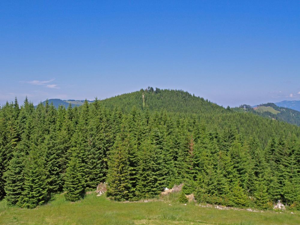 Spitzkogel (220 Bildaufrufe)