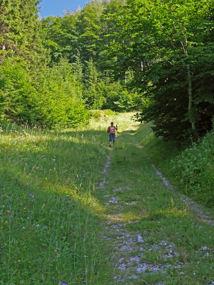 Spitzkogel (187 Bildaufrufe)