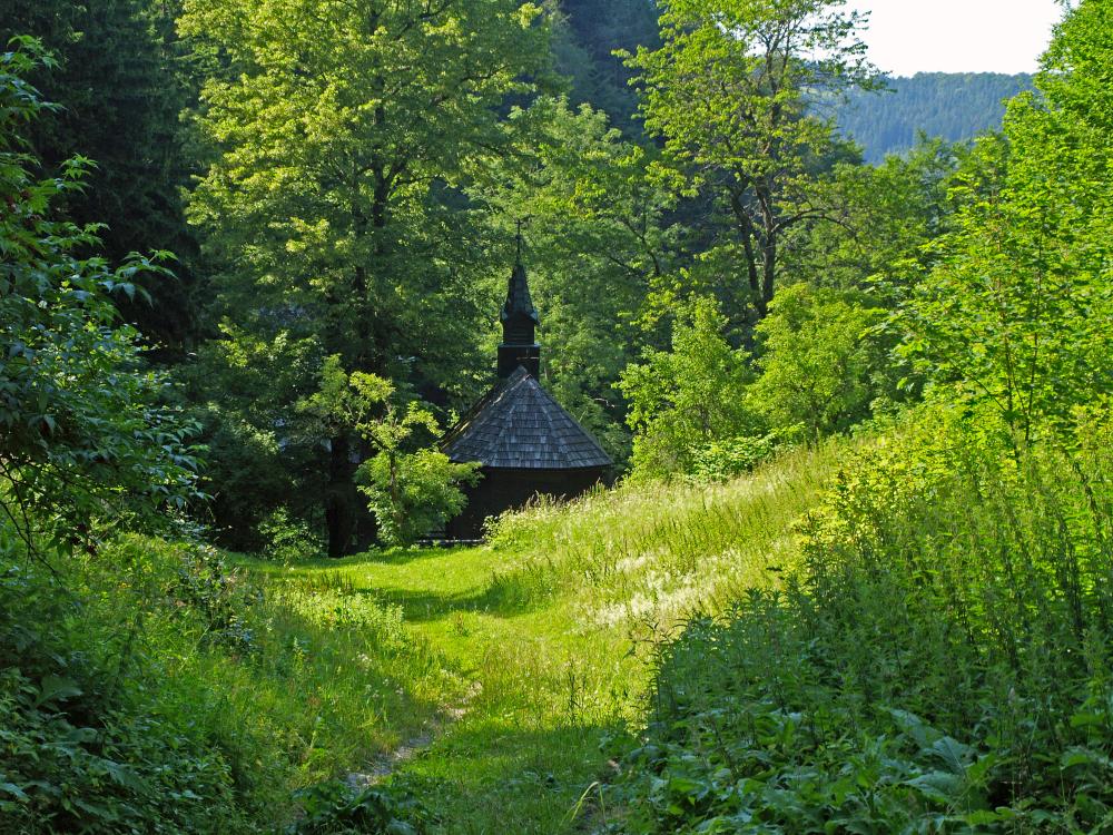 Spitzkogel (251 Bildaufrufe)