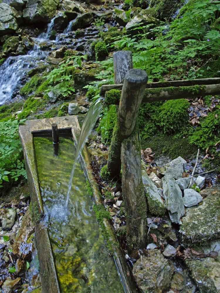 Spitzkogel (228 Bildaufrufe)