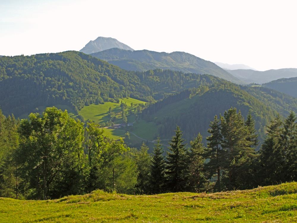 Gromann, Schweinberg (267 Bildaufrufe)