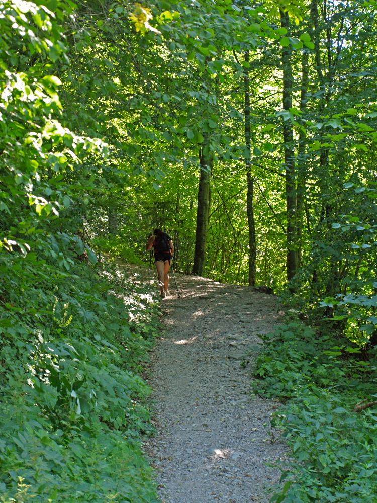 Holzerberg, Höhenkote Nixhöhle (252 Bildaufrufe)