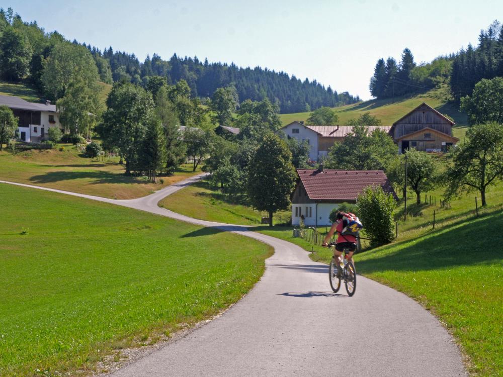 Statzberg (261 Bildaufrufe)