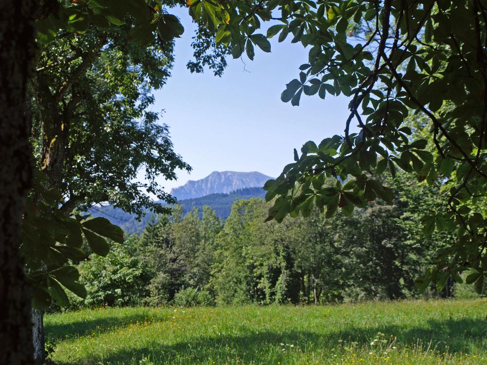 Statzberg (335 Bildaufrufe)