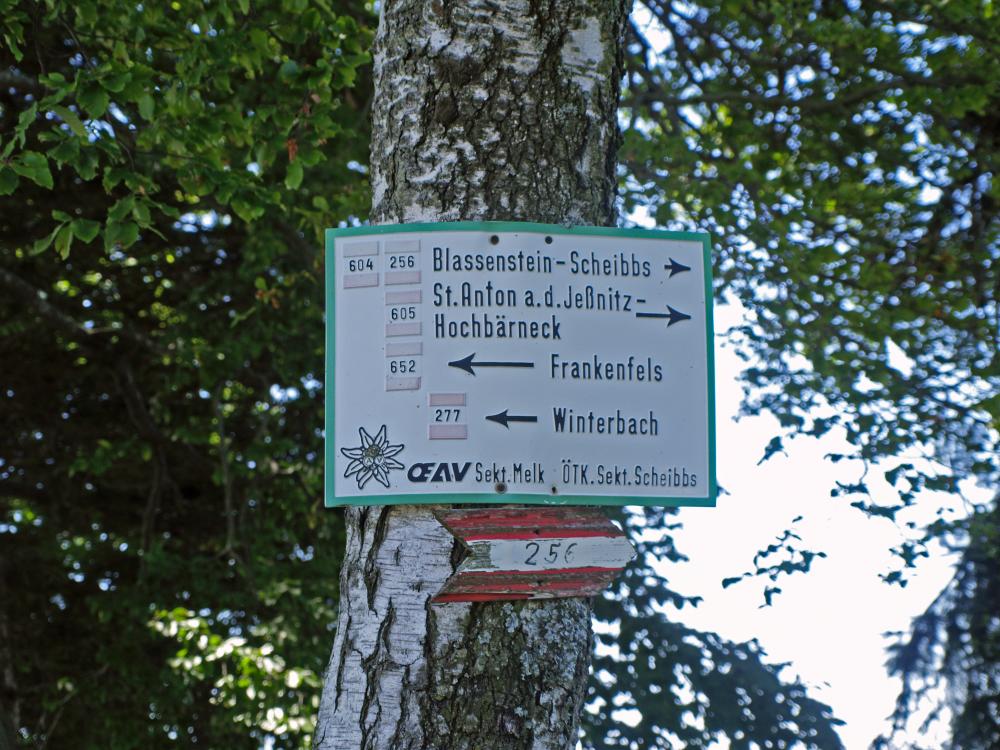 Statzberg (320 Bildaufrufe)