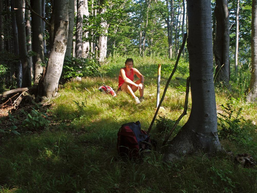 Statzberg (264 Bildaufrufe)