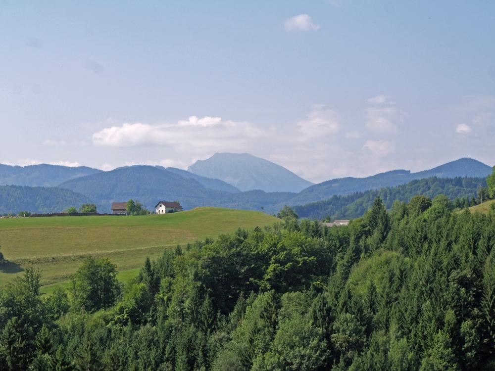 Frankenfelsberg (201 Bildaufrufe)