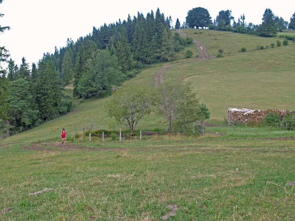 Frankenfelsberg (283 Bildaufrufe)