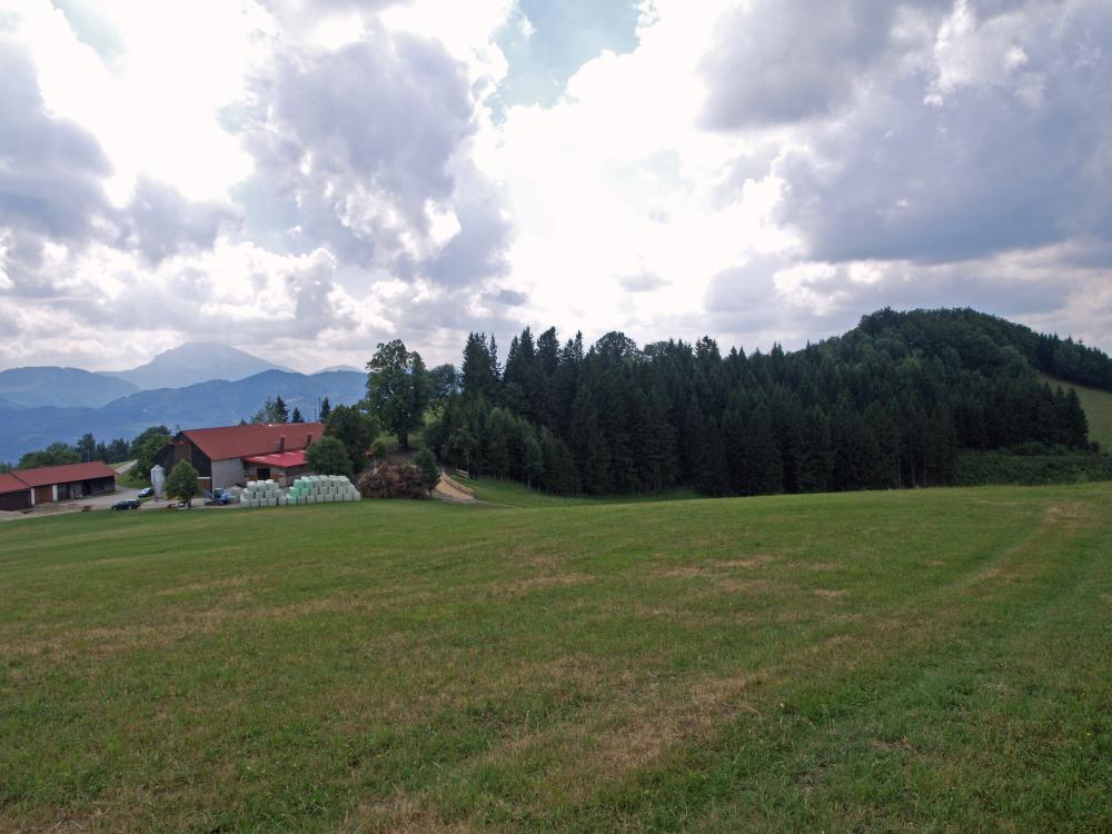 Frankenfelsberg (264 Bildaufrufe)
