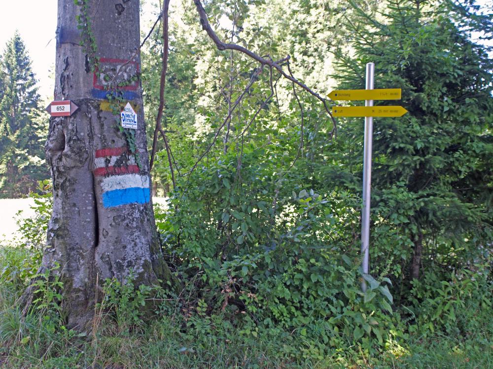 Gsollberg (198 Bildaufrufe)