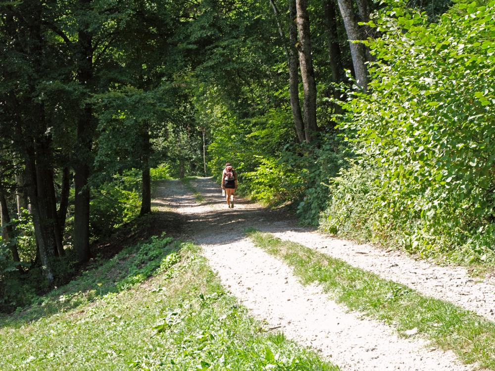 Gsollberg (298 Bildaufrufe)