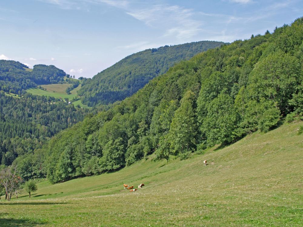 Rote Steinmäuer (243 Bildaufrufe)