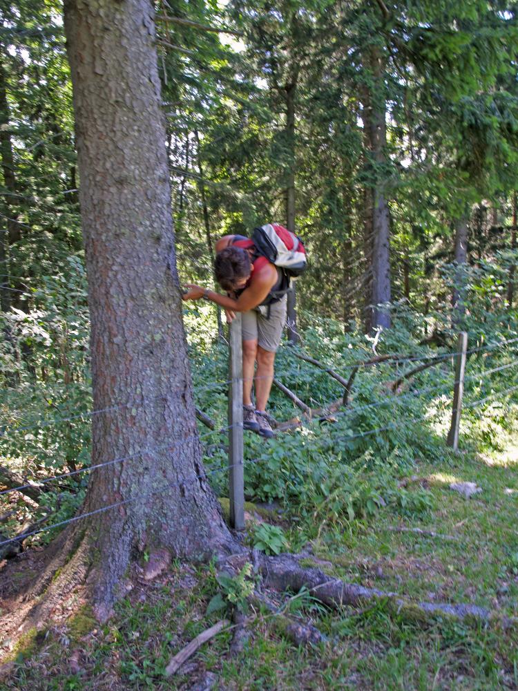 Rote Steinmäuer (254 Bildaufrufe)