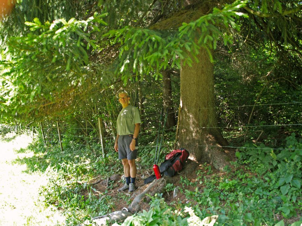 Rote Steinmäuer (265 Bildaufrufe)