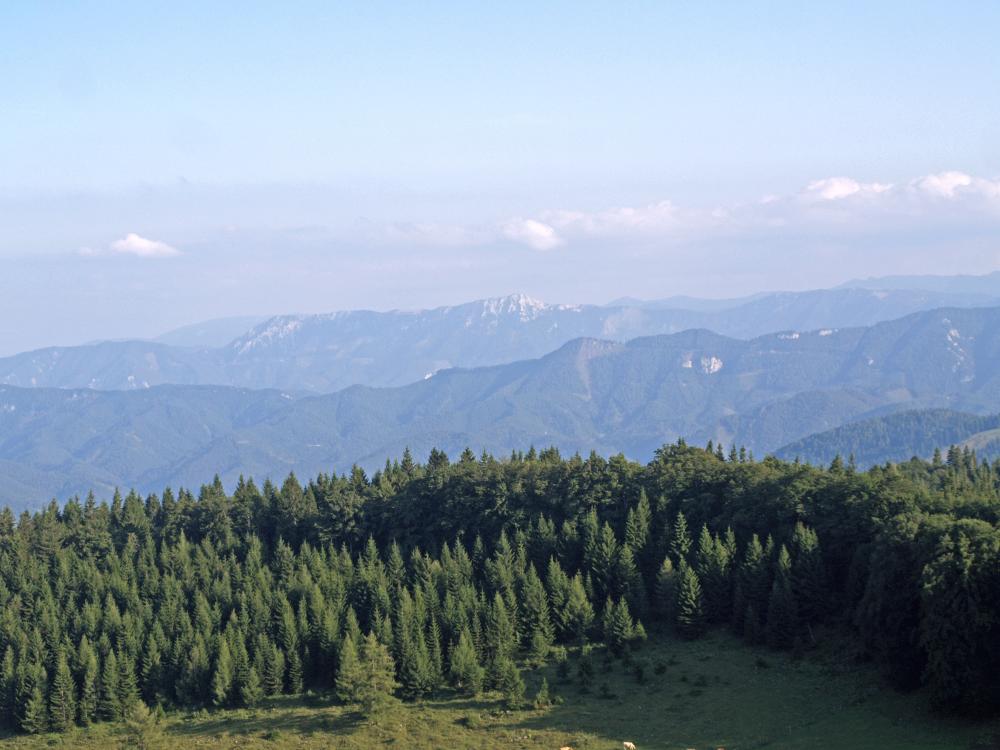 Rote Steinmäuer (287 Bildaufrufe)