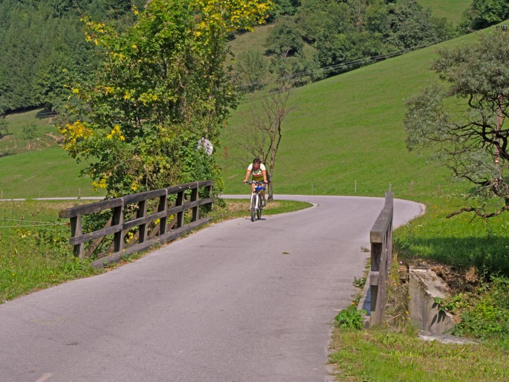 Hirschkogel (286 Bildaufrufe)