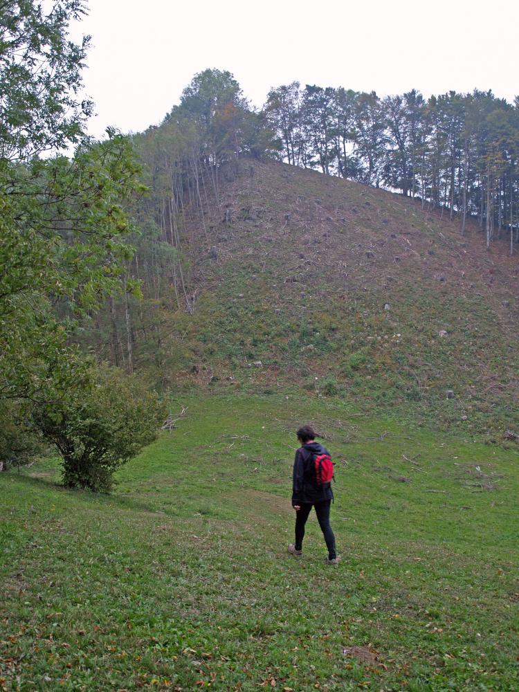 Hochebenkogel (240 Bildaufrufe)