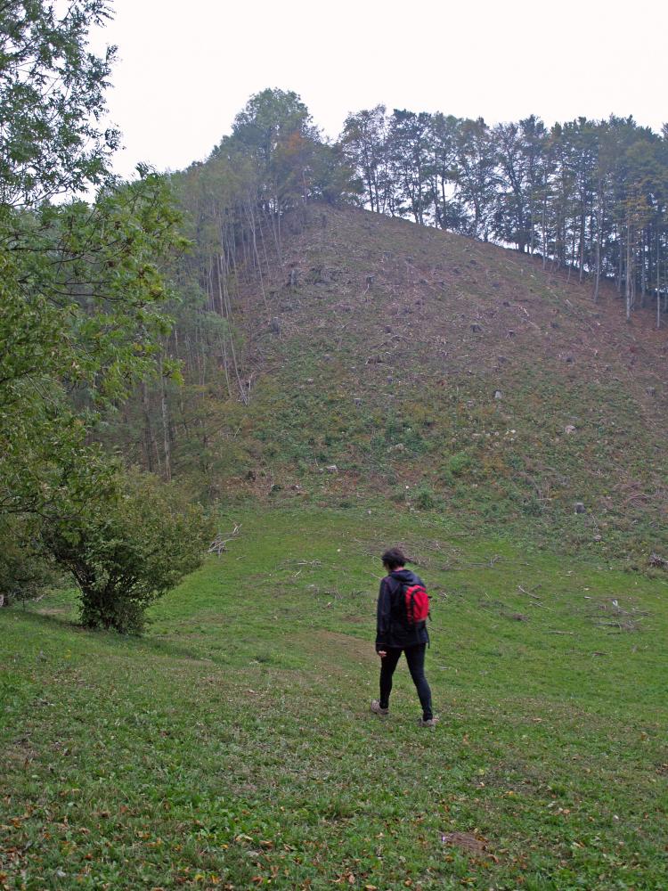 Hochebenkogel (226 Bildaufrufe)