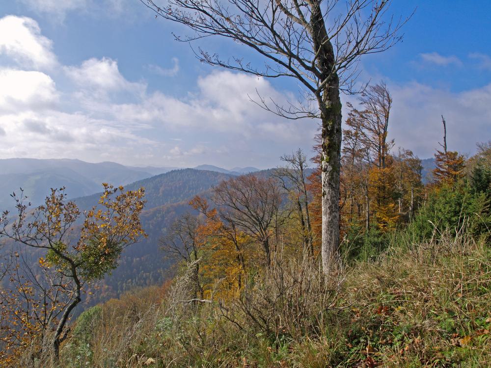 Anestberg (263 Bildaufrufe)