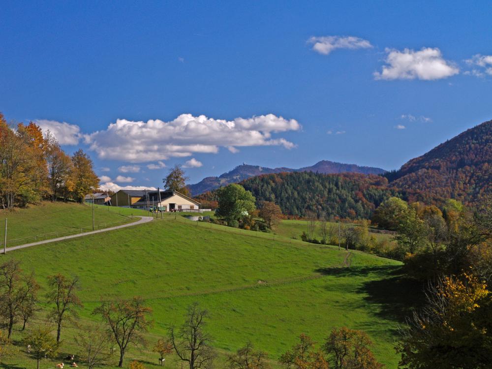 Grubberg (201 Bildaufrufe)