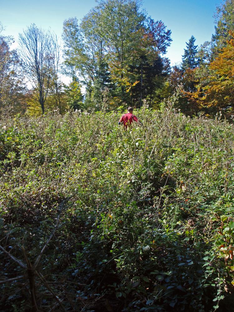 Grubberg (224 Bildaufrufe)