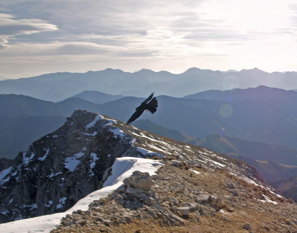 Hochkogel (273 Bildaufrufe)