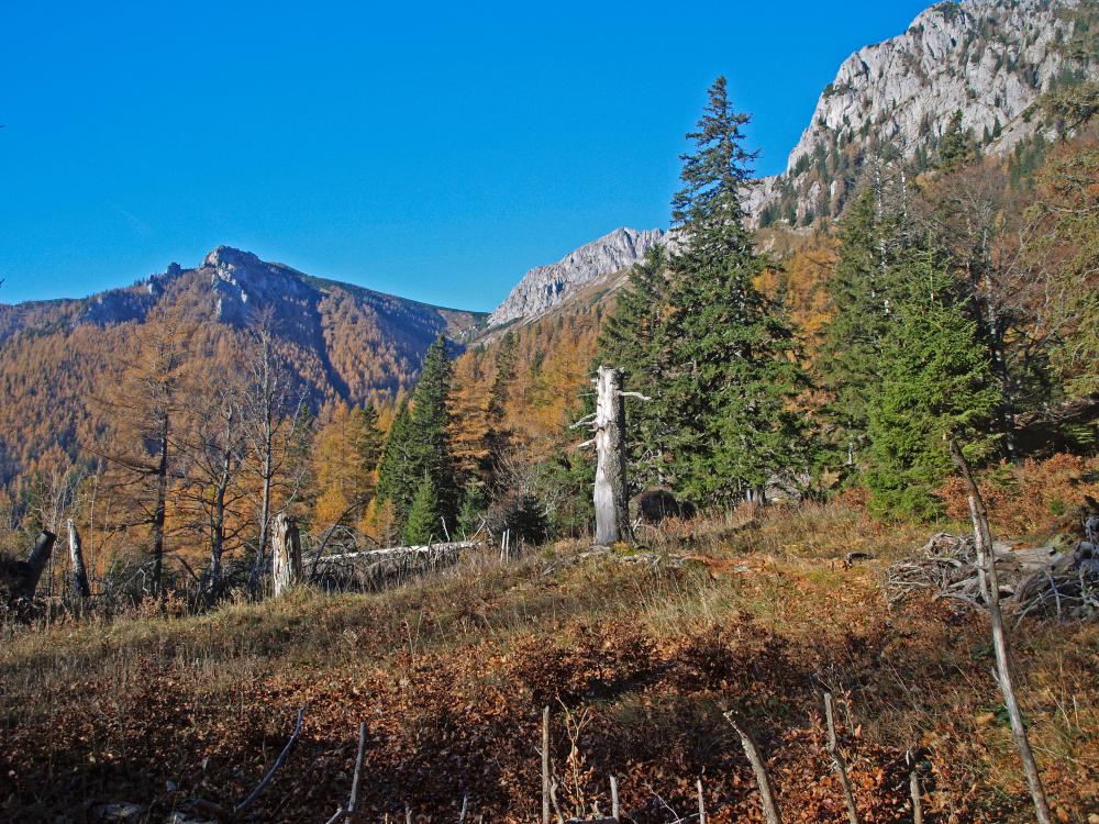 Feistringstein (330 Bildaufrufe)