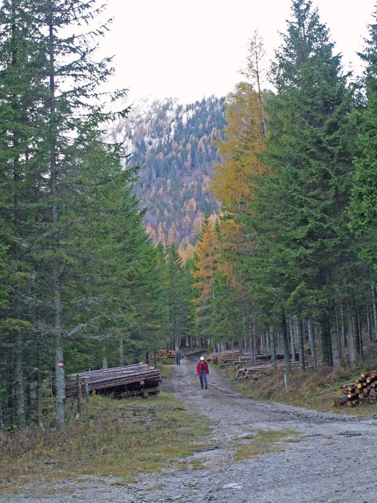 Feistringstein (270 Bildaufrufe)