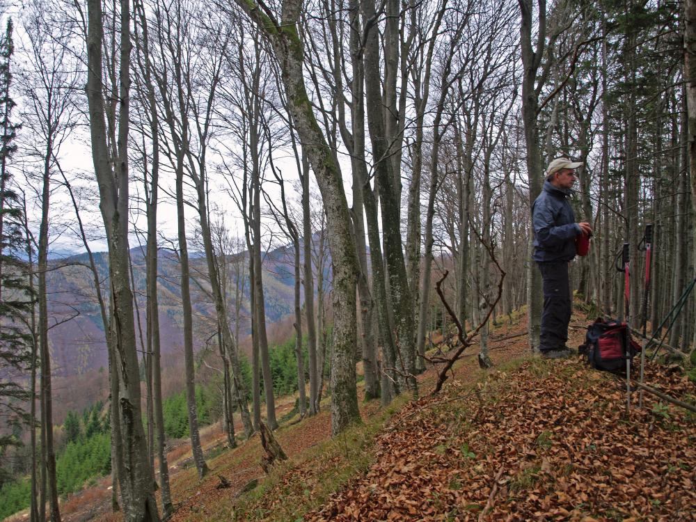 Schöngrabenspitze (242 Bildaufrufe)