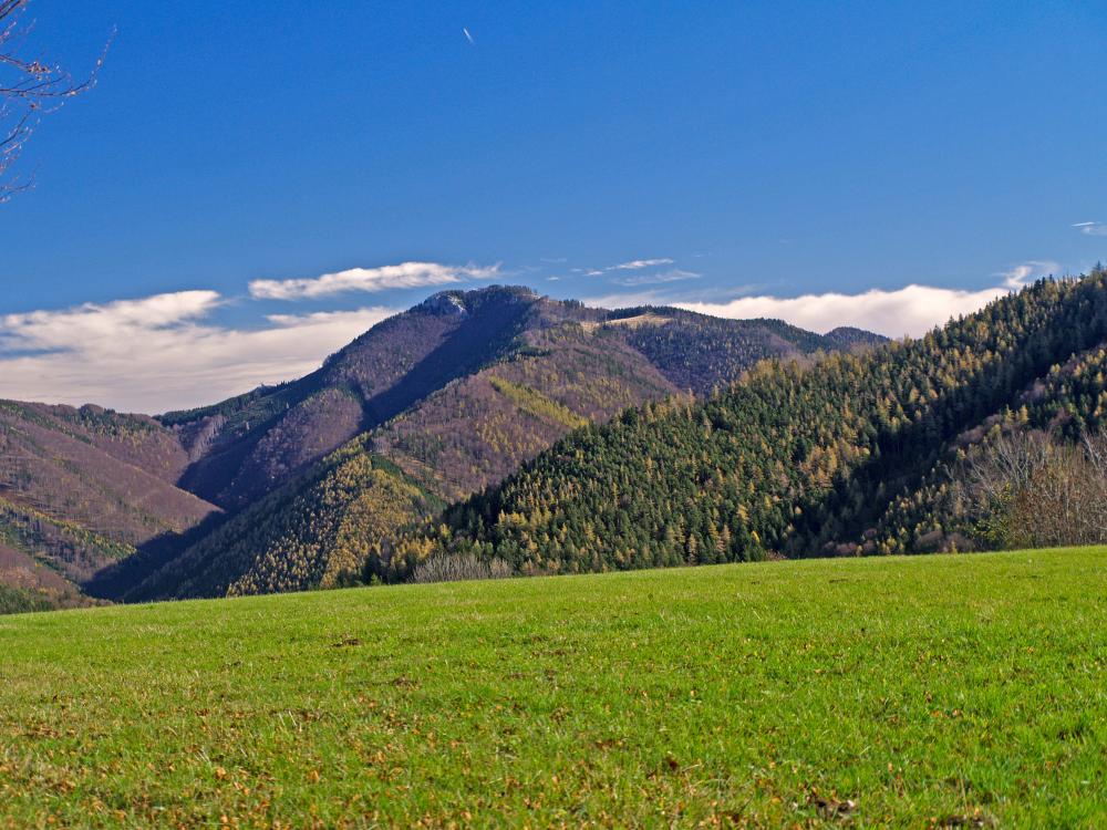 Falkenstein (231 Bildaufrufe)