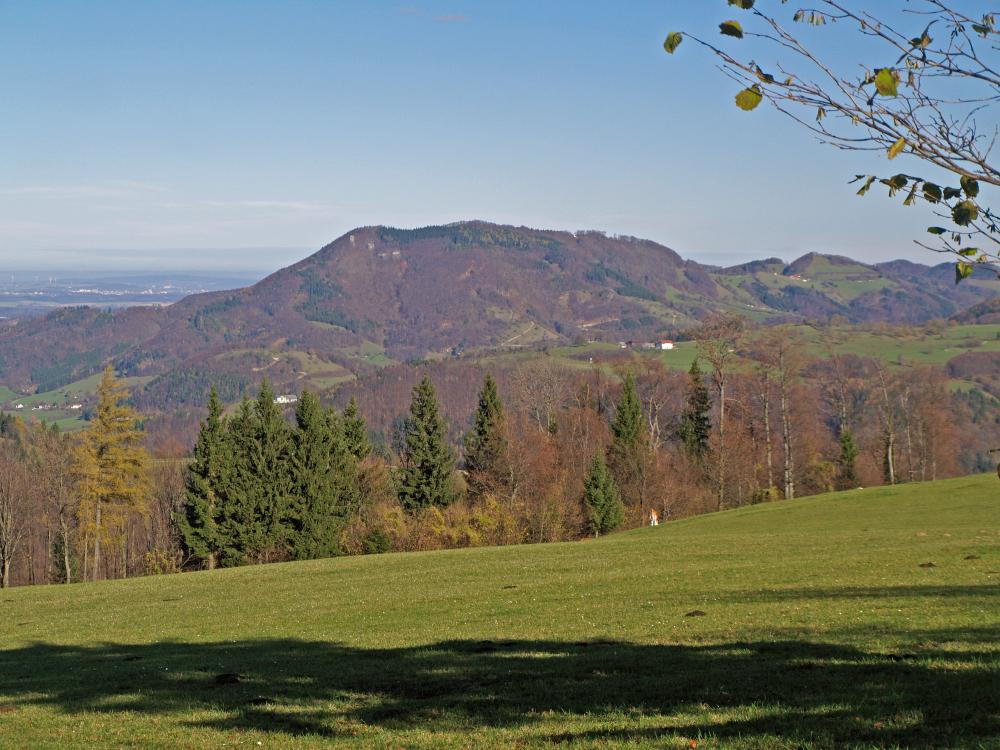 Falkenstein (232 Bildaufrufe)