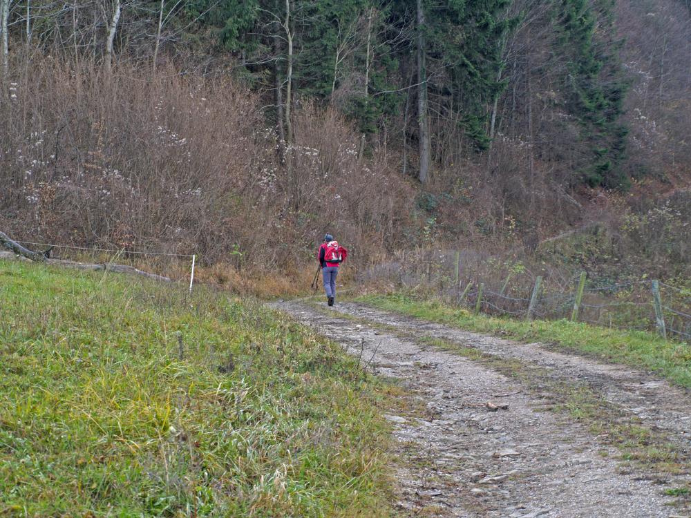 Schroffen (215 Bildaufrufe)