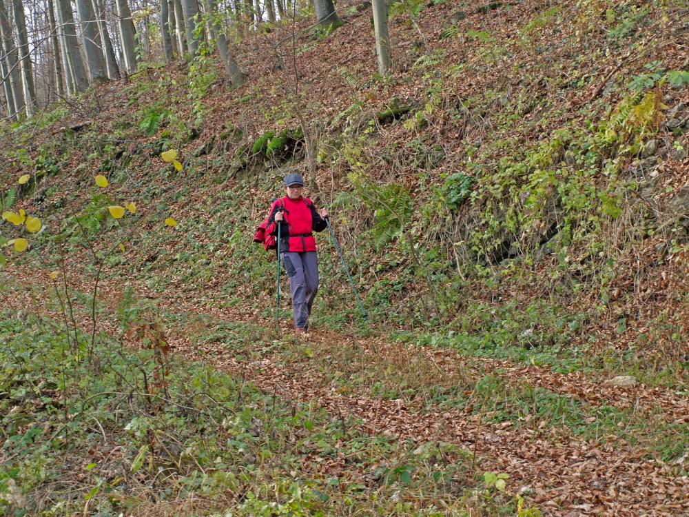 Schroffen (165 Bildaufrufe)