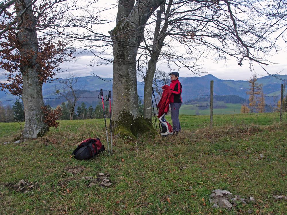 Schroffen (249 Bildaufrufe)