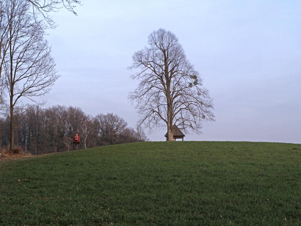 Rudolfshöhe (264 Bildaufrufe)
