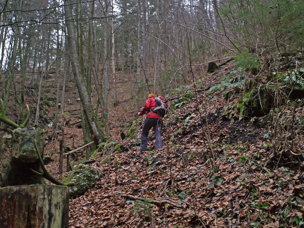 Markenschlag (363 Bildaufrufe)