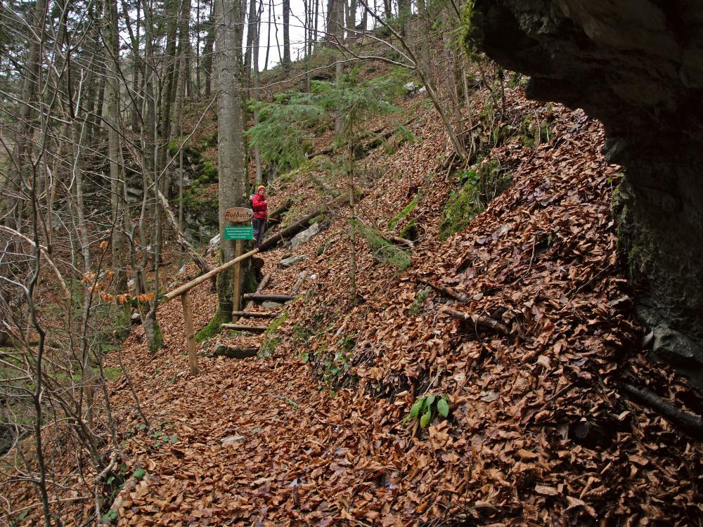 Markenschlag (359 Bildaufrufe)