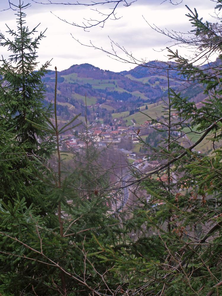 Markenschlag (257 Bildaufrufe)