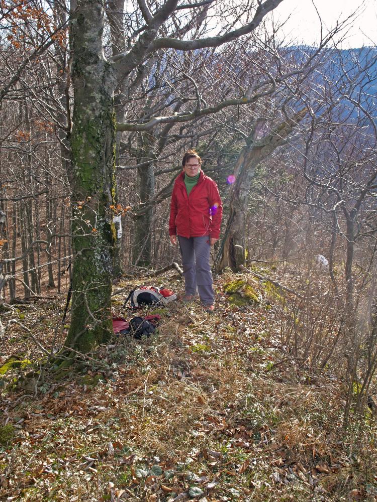 Bichlberg (237 Bildaufrufe)