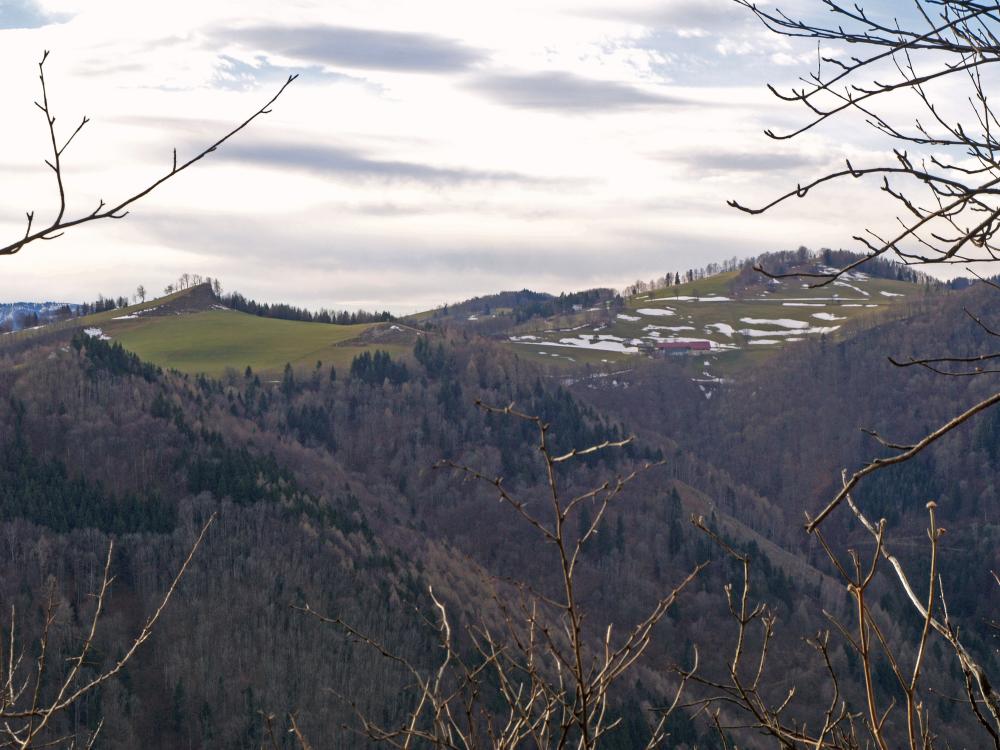 Bichlberg (234 Bildaufrufe)