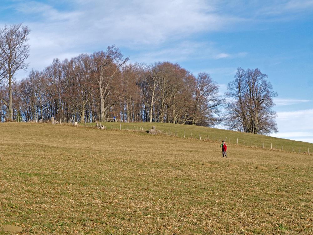 Bichlberg (287 Bildaufrufe)
