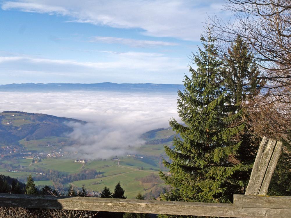 Bichlberg (225 Bildaufrufe)